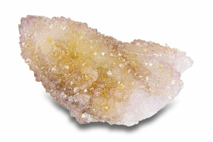 Cactus Quartz (Amethyst) Crystal - South Africa #281892